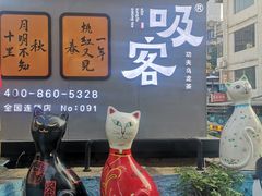 -猫咪博物馆(顶澳仔猫街店)