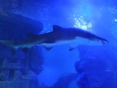 -上海市同济医院(大华门诊部)