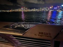 -香港尖沙咀凯悦酒店