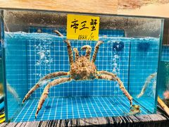 -佬太公海鸭·海鲜大排档(上海总店)