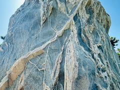 -济南国际园博园