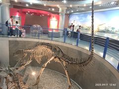 -国家自然博物馆