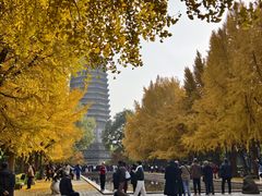-玲珑塔公园