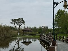 -白鹭湾湿地公园