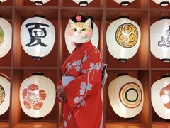 -重庆南山海昌汤都