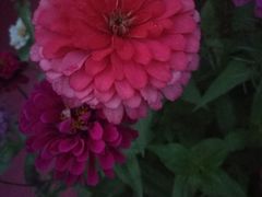 -长春公园(普阳街道)