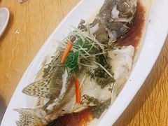 -寻味顺德·南记酒家·传统顺德菜·鱼生(广源路店)