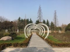 -昆山城市生态森林公园