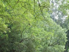 -白云山风景名胜区