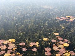 -白鹭湾湿地公园