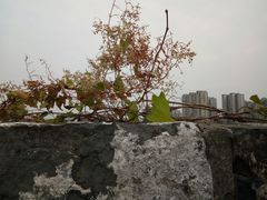 -东水关遗址公园