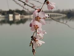 -颐和园