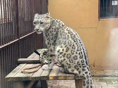 -青藏高原野生动物园