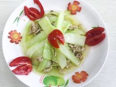-成都阿姨到家月嫂育儿嫂(华西店)