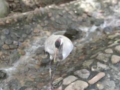 -燕塞湖鸟语林景区