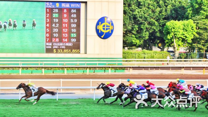 香港赛马会(沙田马场)图片 第4张