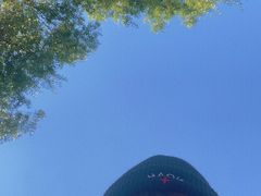 -丁香湖公园