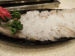 -杨肥肠小火锅(新桥店)