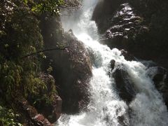 -九龙江国家森林公园