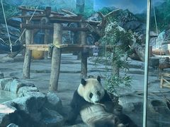 -武汉动物园