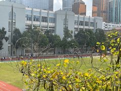 -迈德运动康复中心