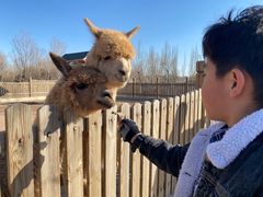 -大青山野生动物园