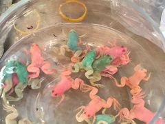 -万商花鸟市场