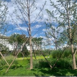 点击看大图 -北京英煌医疗美容