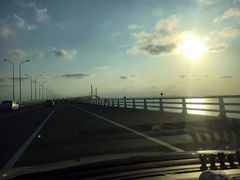 -枸杞岛