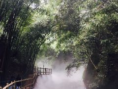 -川西竹海景区