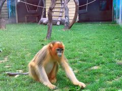 -西安秦岭野生动物园