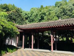 -杭州黄龙洞
