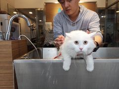 -PETKIT小佩宠物(古北店)
