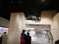 -国家自然博物馆