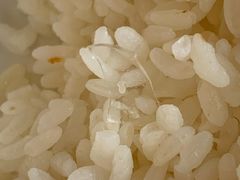 -蒙亨·手把肉·蒙古包文化主题餐厅(天恒广场店)