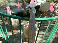 -水上乐园·欢乐世界