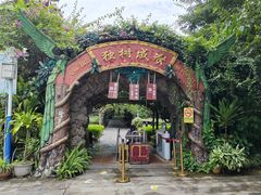 -瑞丽独树成林风景区