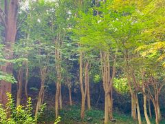 -南京市江宁方山