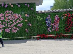 -莲花池公园