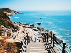 -广东惠东海龟国家级自然保护区