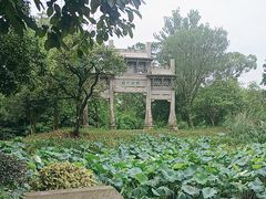 -西溪国家湿地公园