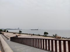 -上海滨江森林公园