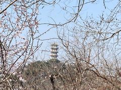 -北京十三陵国家森林公园蟒山景区