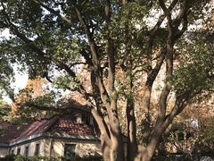 -徐家汇源景区-衡山公园