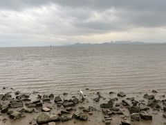 -深圳湾公园(南山区)