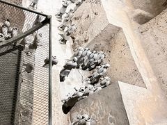-秦始皇帝陵博物院(兵马俑)