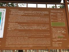 -北京鹫峰国家森林公园