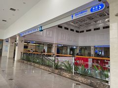 -上海市东方医院(总院)