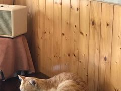 -251#coffee roasters(沿河东路店)