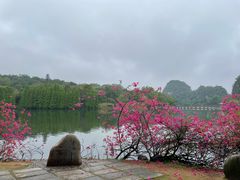 -星湖旅游景区七星岩